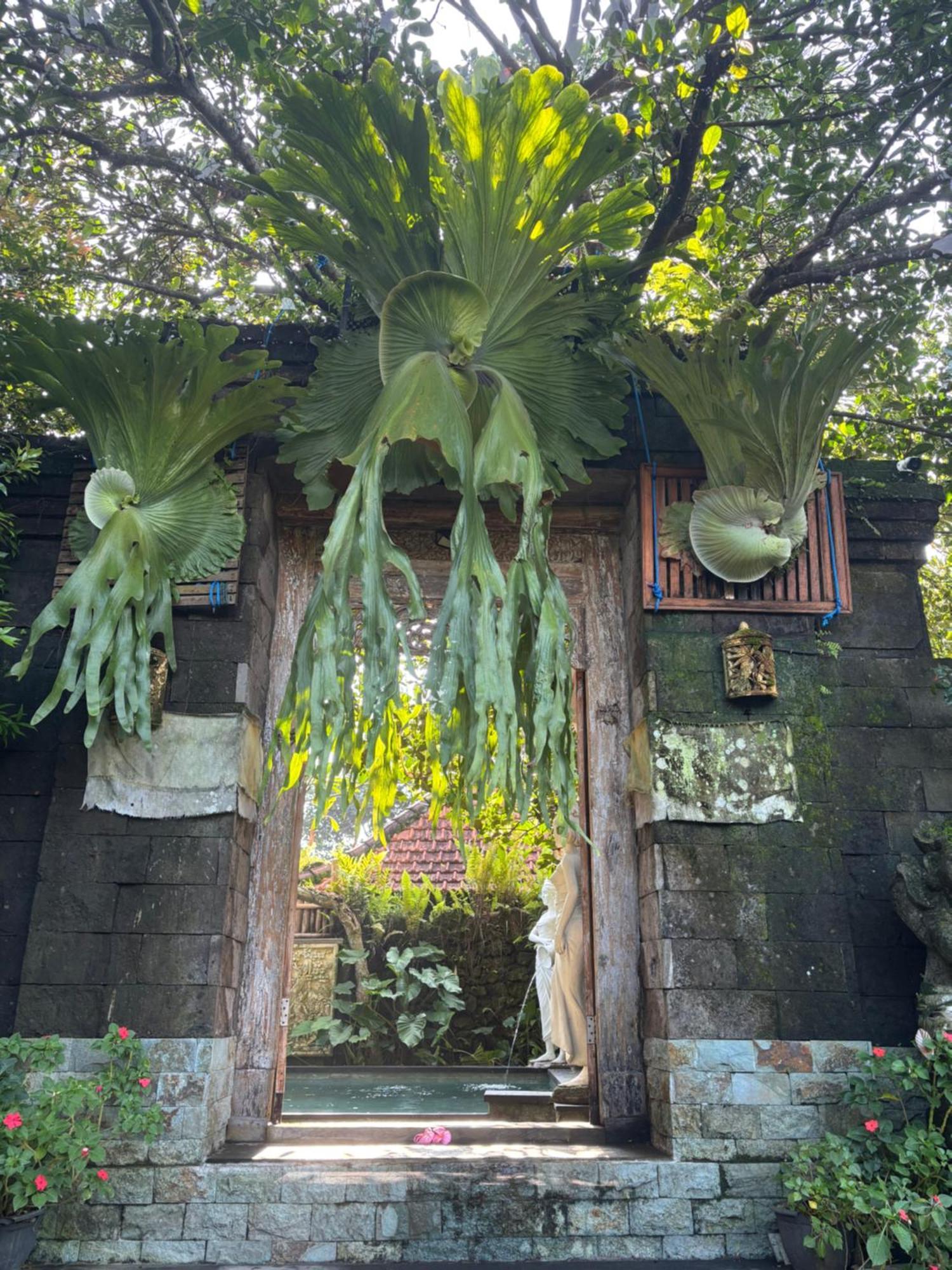Bumbung Sari Villa Ubud  Exterior photo